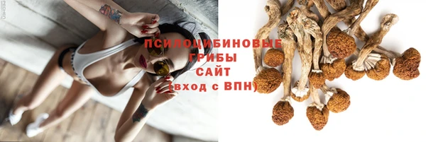 молекула духа Алзамай