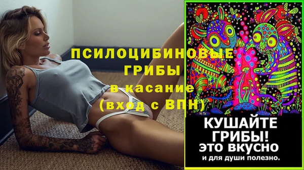 сатива Алексин